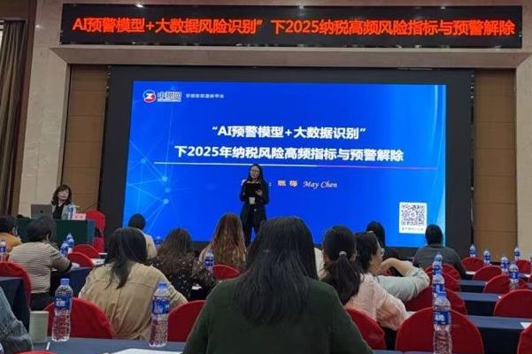 深化AI与大数据应用，精准防控2025纳税风险